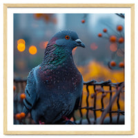 Pigeon With Water Droplets