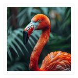 Close Up Of A Vibrant Orange Flamingo Bird (Print Only) thumbnail