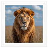 Majestic Lion In African Savanna Under Blue Sky thumbnail