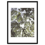 Mother Nature thumbnail