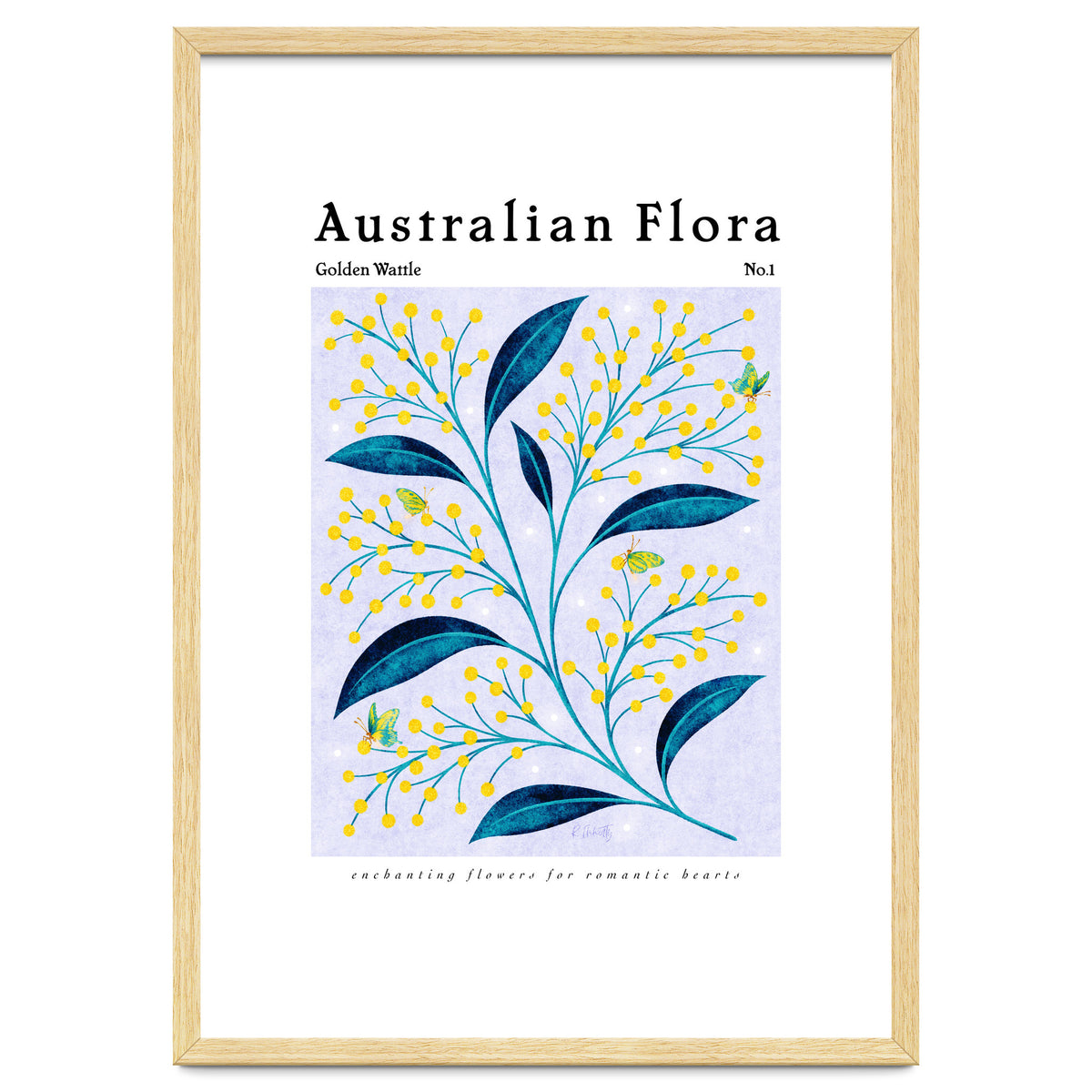 Australian Flora: Golden Wattle