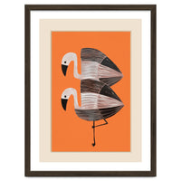 Tangerine Flamingos