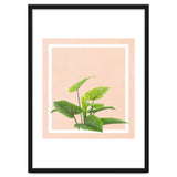 Botanical Art thumbnail
