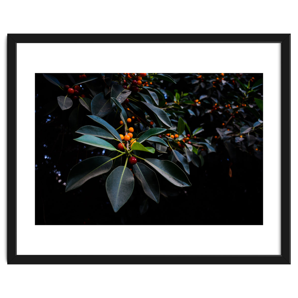 Orange, Green and Dark