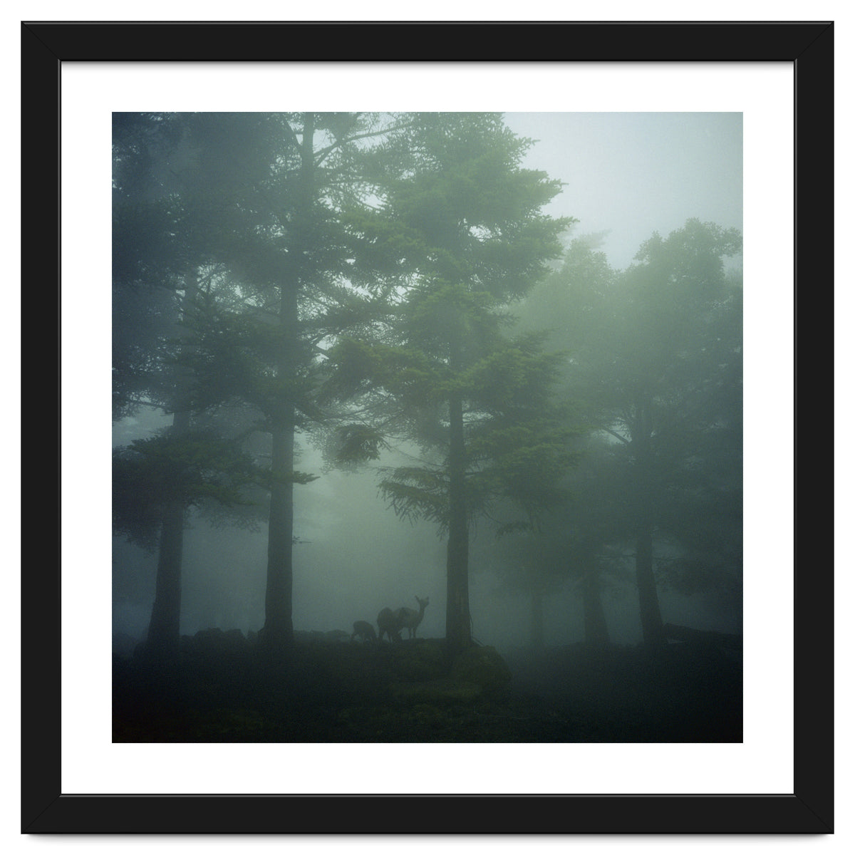 Silence of breath - 10