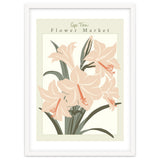 Flower Market Cap Town Amaryllis thumbnail