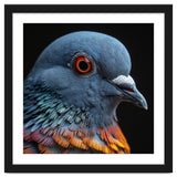 Close Up Of A Pigeon Bird thumbnail