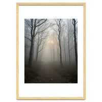 Ethereal Morning Light Breaking Through Dense Forest Fog