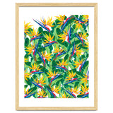 Summer Strelitzia thumbnail
