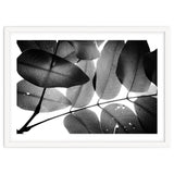 Branches and Leaves, 2016, 3 thumbnail