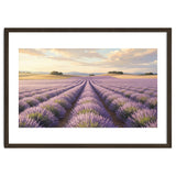 Provençal Sunset: Lavender Field Landscape thumbnail
