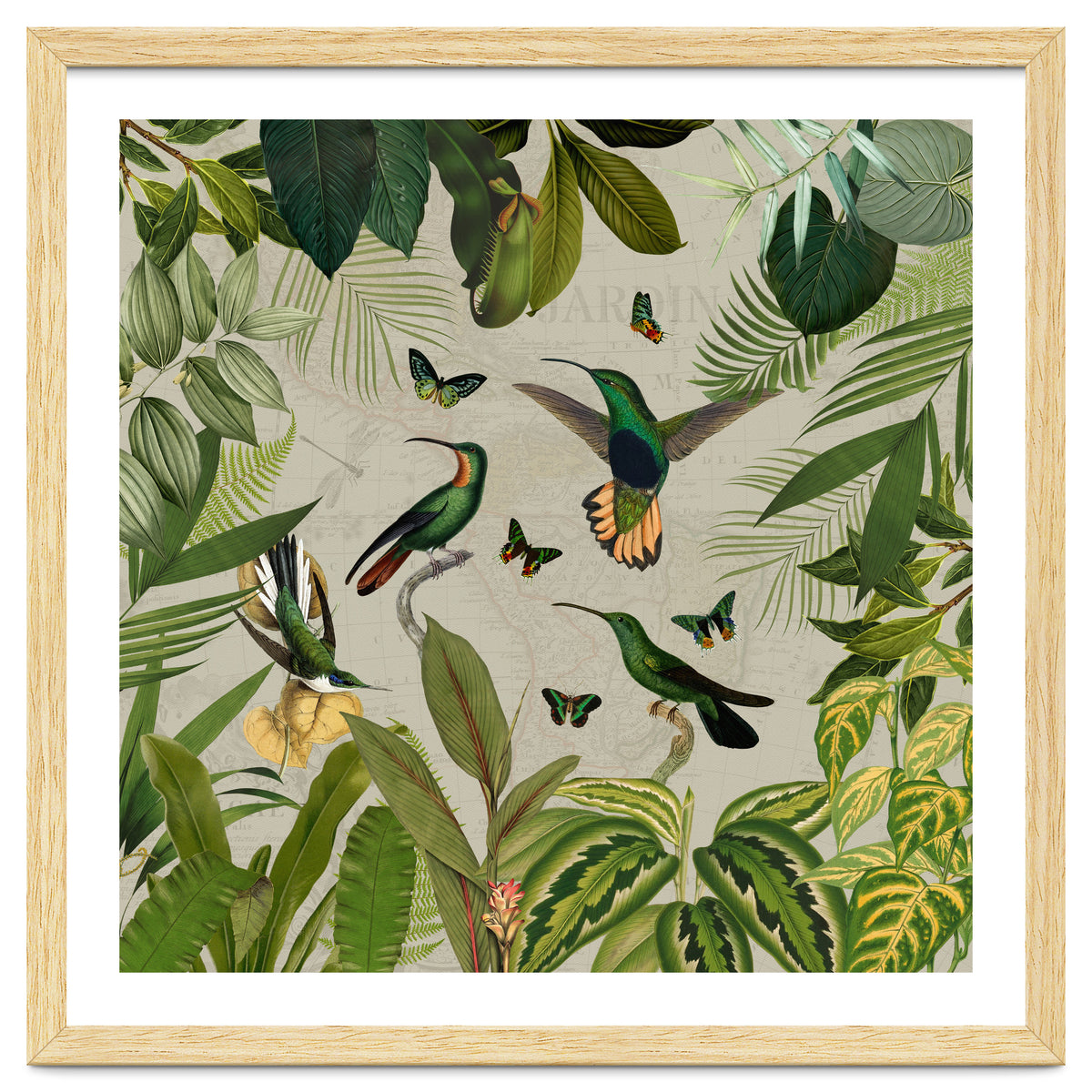 Vintage Exotic Hummingbirds Jungle