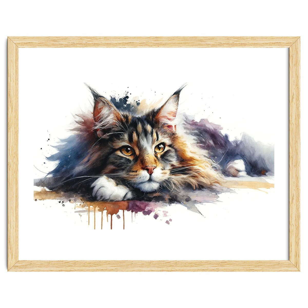 Maine Coon Resting Portrait
