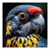 Close-up Portrait of a Vibrant Parrot (Print Only) thumbnail