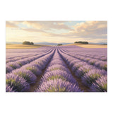 Provençal Sunset: Lavender Field Landscape (Print Only) thumbnail