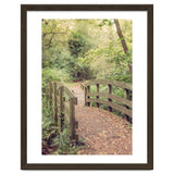 Path To The Bridge thumbnail