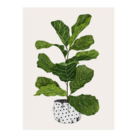 Fiddle Leaf Fig Tree Plant (Print Only)