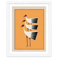 Striped Bird Trio II