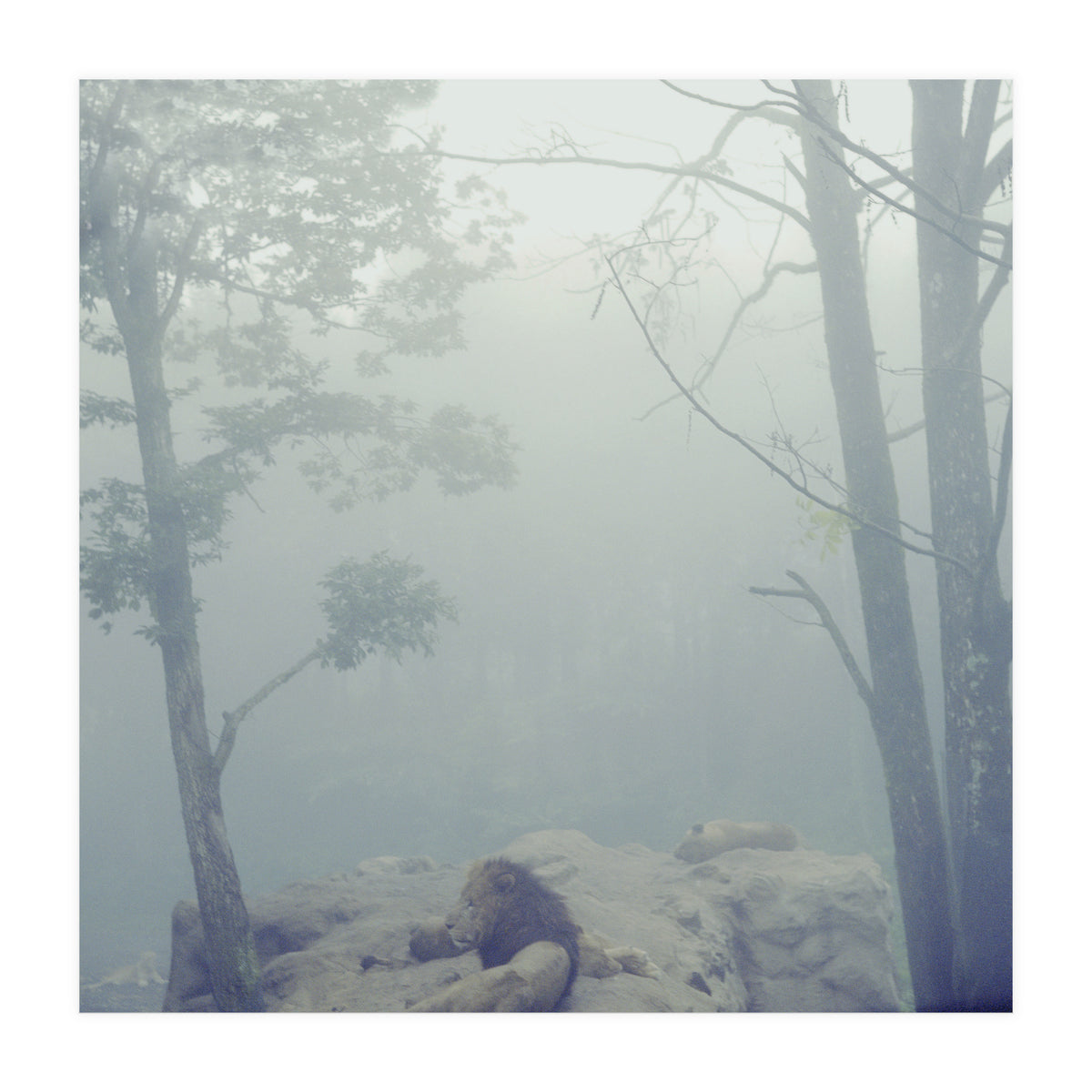 Silence of breath - 02 (Print Only)