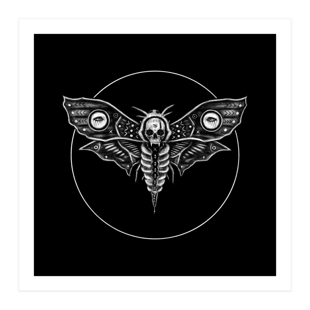 Deaths Head Moth (Print Only)