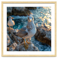 Seagull Standing On Rocks Near Water