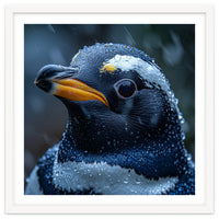 Macro view of a Penguin with Water Droplets