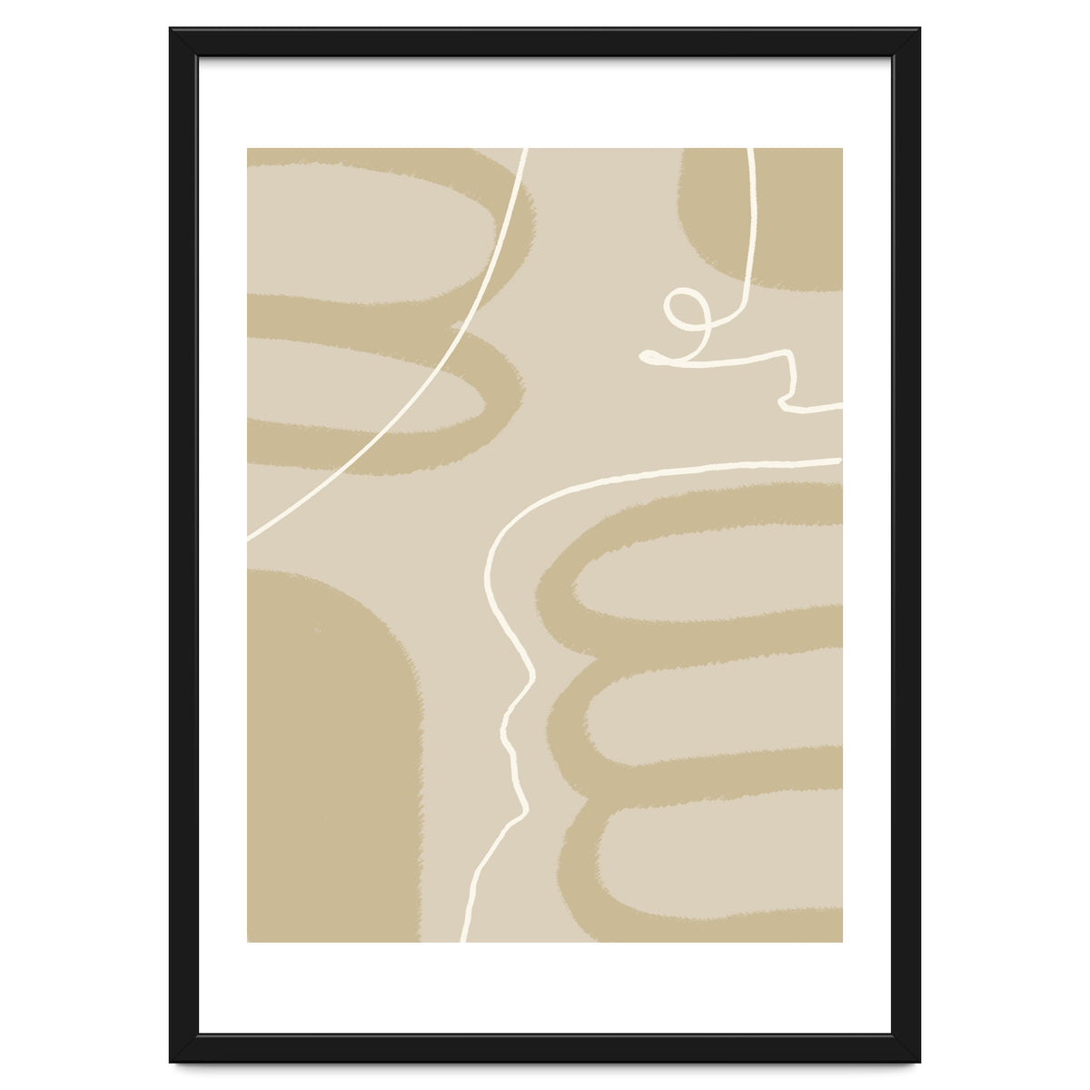 Harmony of Lines and Shapes