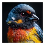 Close Up Of A Colorful Bird In The Wild (Print Only) thumbnail