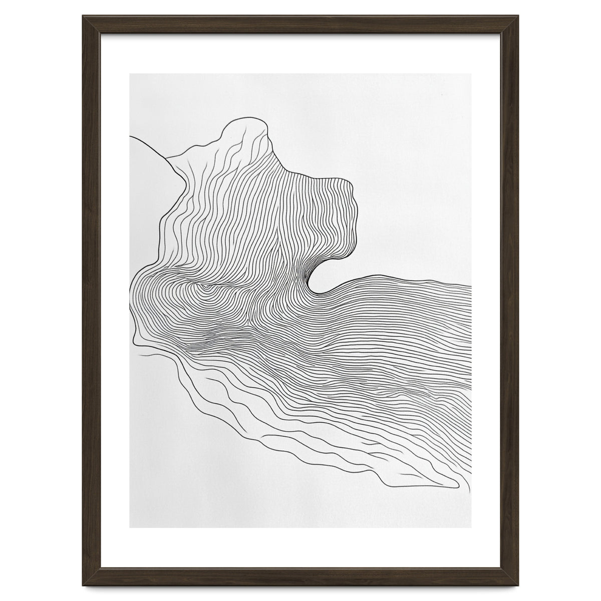 Abstract Black And White Organic Flowing Lines Pattern