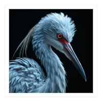 Striking Portrait Of A Blue Heron Bird (Print Only)