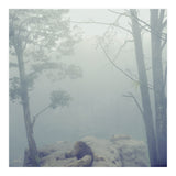 Silence of breath - 02 (Print Only) thumbnail