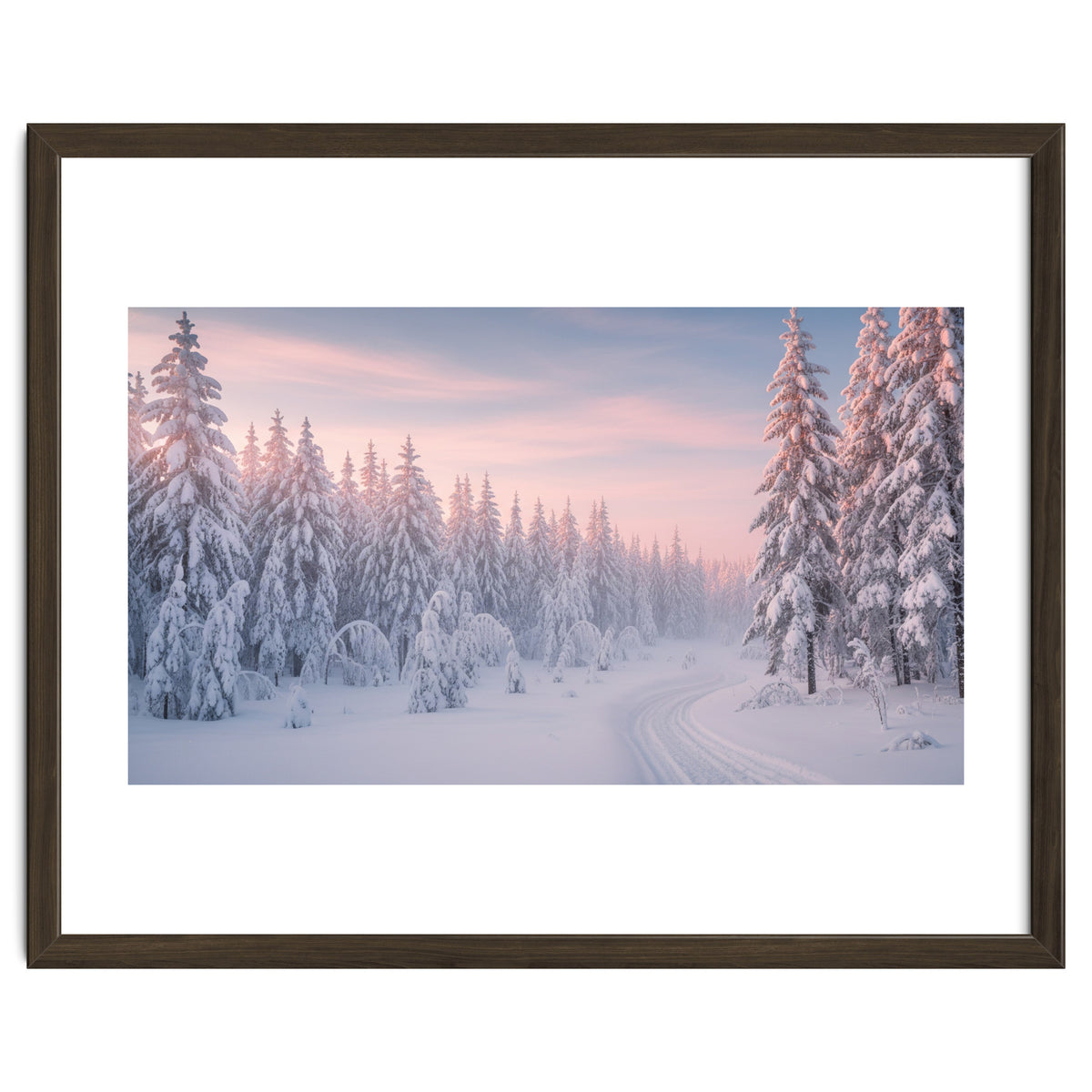 Winter’s Gentle Embrace