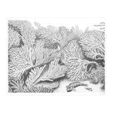 Hidden in plain sight (Print Only) thumbnail