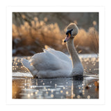 Majestic Swan On Calm Water During Sunset Nature Scene (Print Only) thumbnail