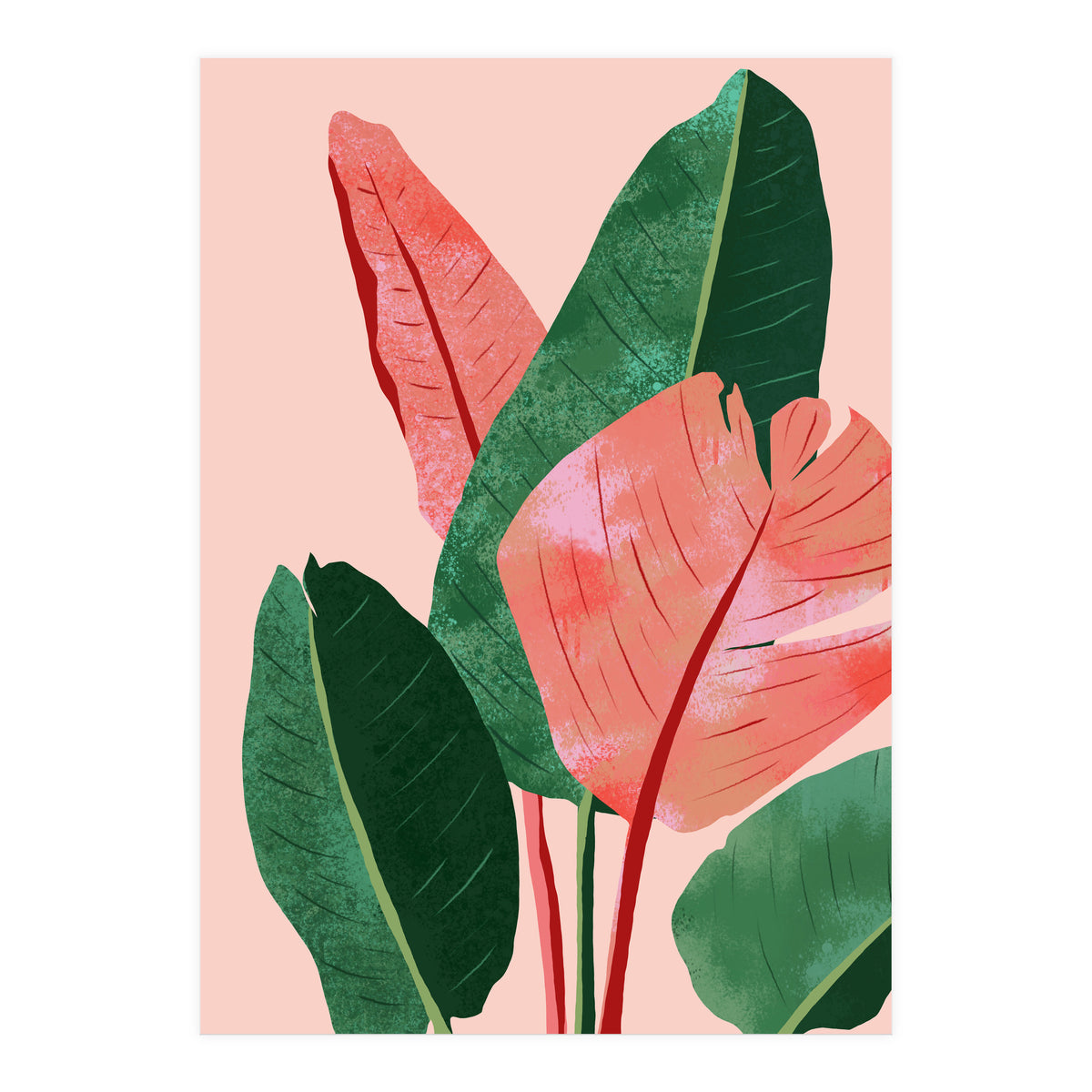 Blush Tropical, Banana Leaves Watercolor Botanical Jungle Painting, Forest Plants Leaves Pink Chic Bohemian (Print Only)