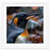 King Penguin In Rain With Water Drops thumbnail