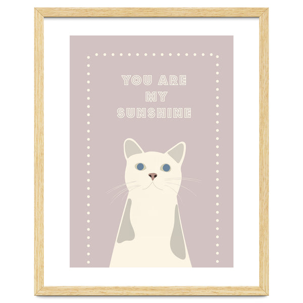 SUNSHINE  CAT