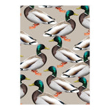 Mallards (Print Only) thumbnail