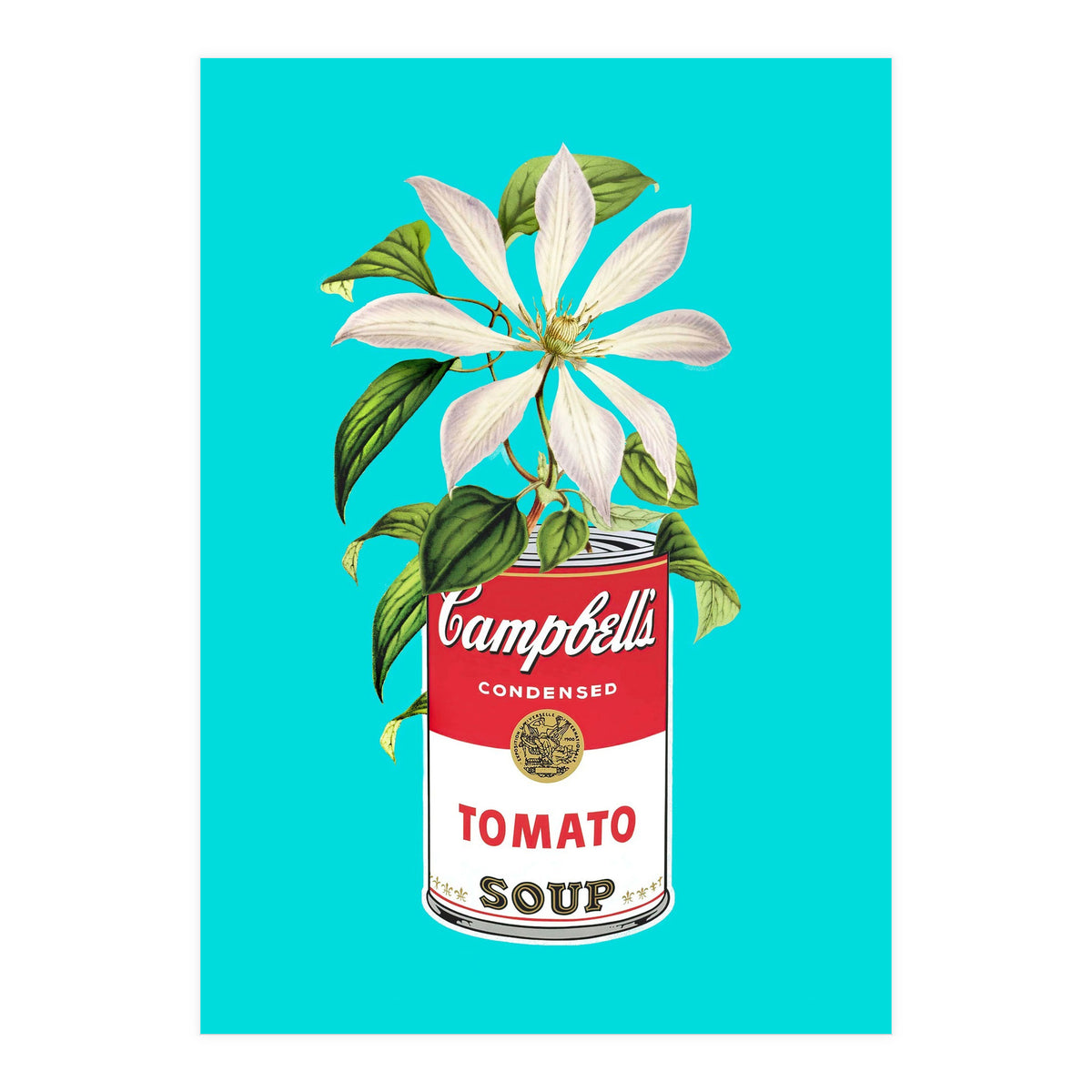 Floral Campbells (Print Only)