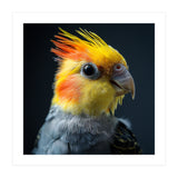 Cockatiel Parrot Bird Head (Print Only) thumbnail