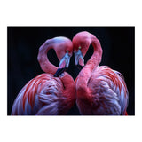 Two Pink Flamingos Forming A Heart Shape (Print Only) thumbnail