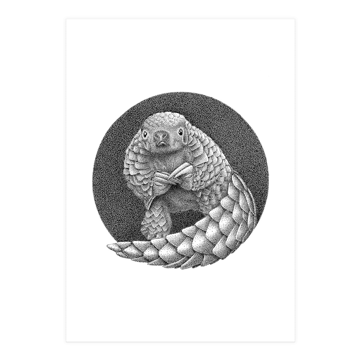 Pangolin no. 1 (Print Only)