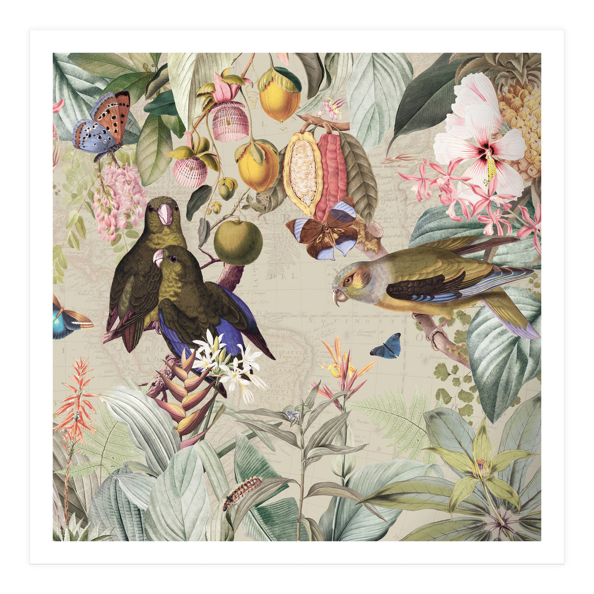 Colorful Parrots And Butterflies In Flower And Fruit Tropical Jungle (Print Only)