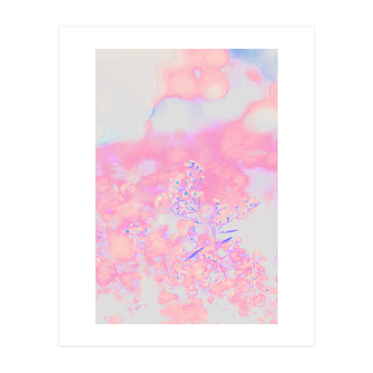 Chamomile (Print Only)