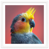 Cockatiel Parrot Head Close Up Portrait thumbnail
