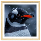 Close Up Penguin Portrait In Snowy Weather thumbnail