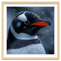 Close Up Penguin Portrait In Snowy Weather
