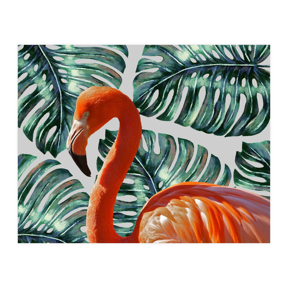 Flamingo Self Portrait (Print Only)