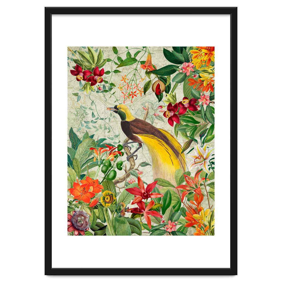 Bird of paradise vintage jungle