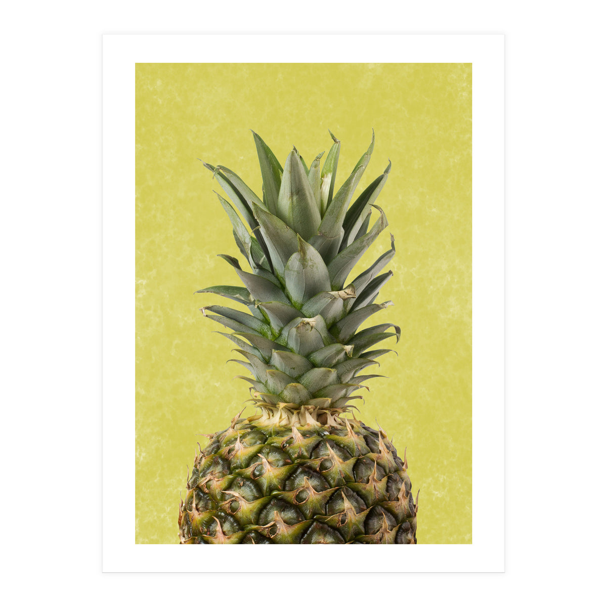 Pineapple Crown, Tropical Summer Fruit Art (Print Only)